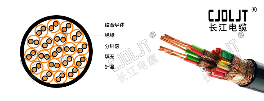 DJYPVR,DJYPVR電纜,計(jì)算(suàn)機電纜,屏蔽電纜,控制電纜,長江電纜